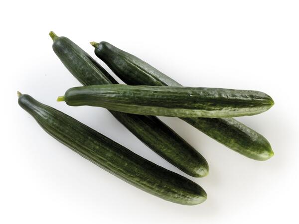 Dutch Cucumbers