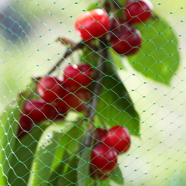 GARDENLINE(R) 				Beschermnetten tegen vogels, 2 st.
