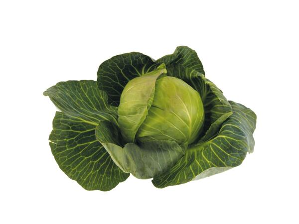 Irish Green Cabbage