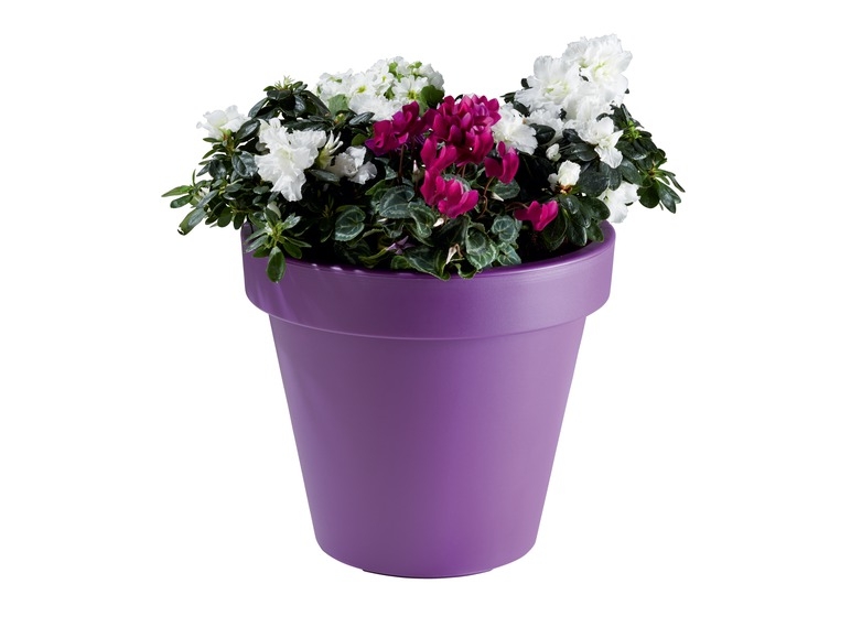 Bloempot