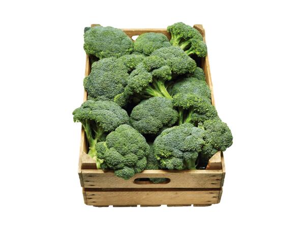 Broccoli