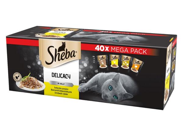 SHEBA KAPSIČKY PRO KOČKY