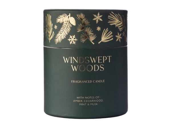 Windswept Woods Scented Candle