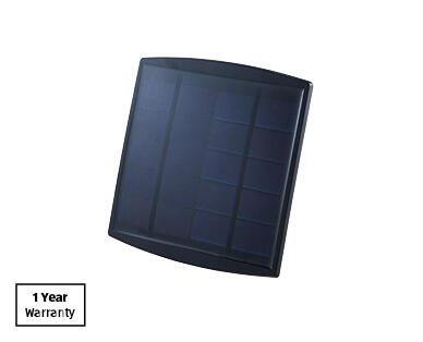 Solar Laser Light