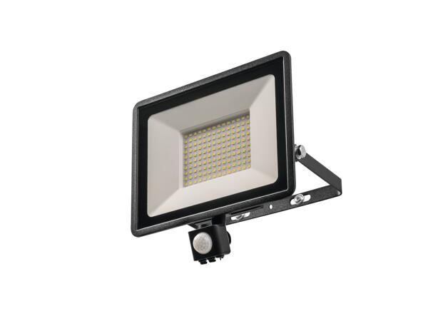 100W Outdoor Light
