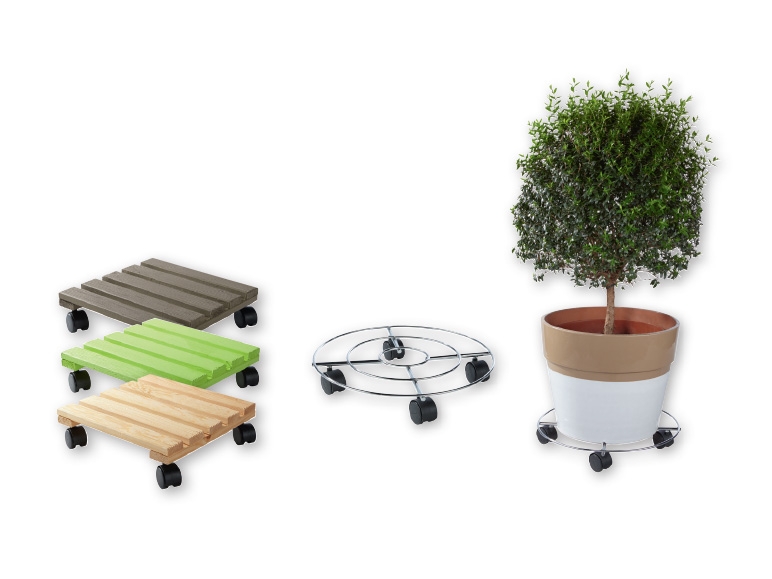 LIVARNO LIVING(R) Plant Roller