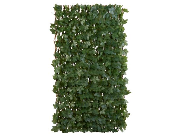 Privacy Screen