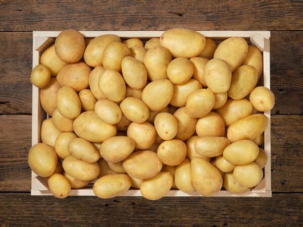 Pommes de terre nouvelles