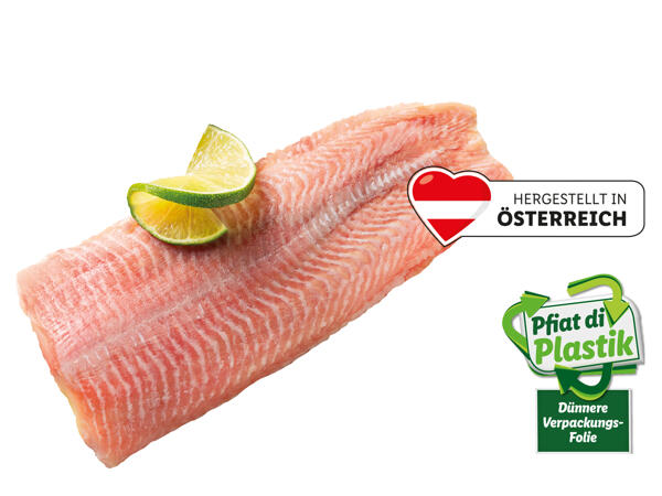 Frisches Welsfilet