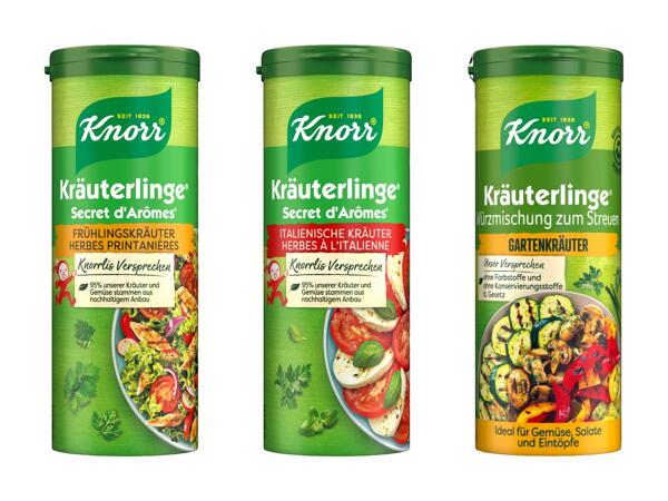 Secret d'Arômes Knorr