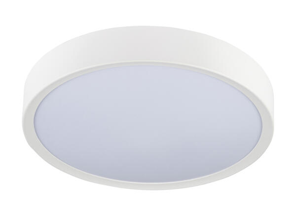 Ceiling or Wall LED Lamp