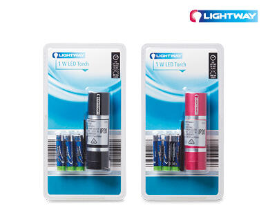 LED Torch 1W