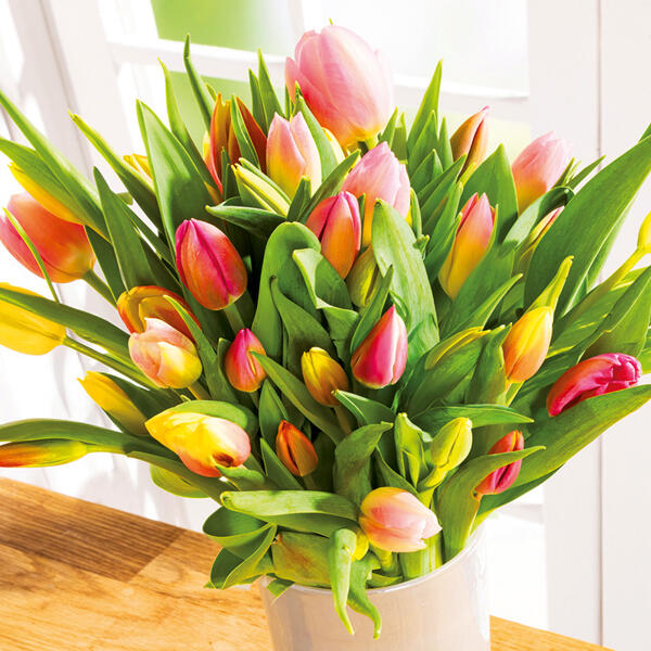 Harlekin Tulpenstrauß