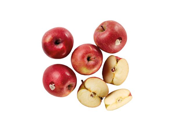 Fuji Apples