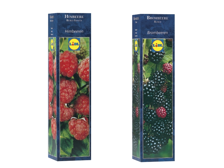 Fruit Bushes