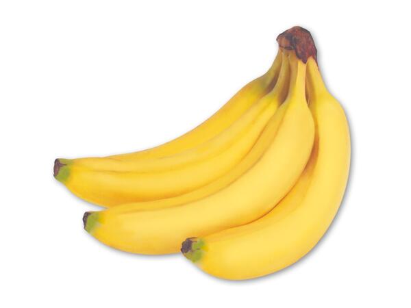 Rainforestbananer