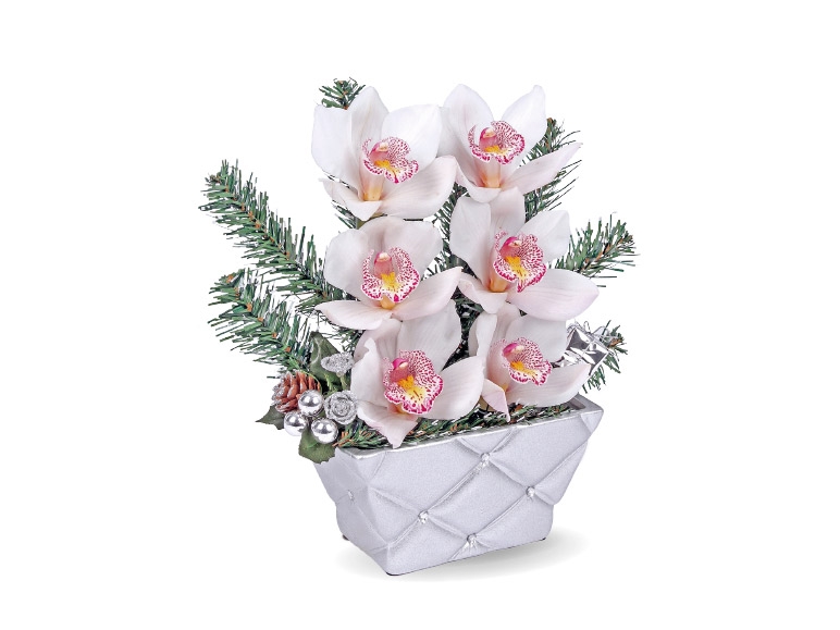 Cut Orchids in Silver Pot