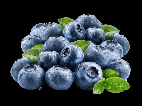 Heidelbeeren
