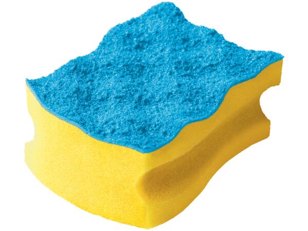 Cleaning Sponges