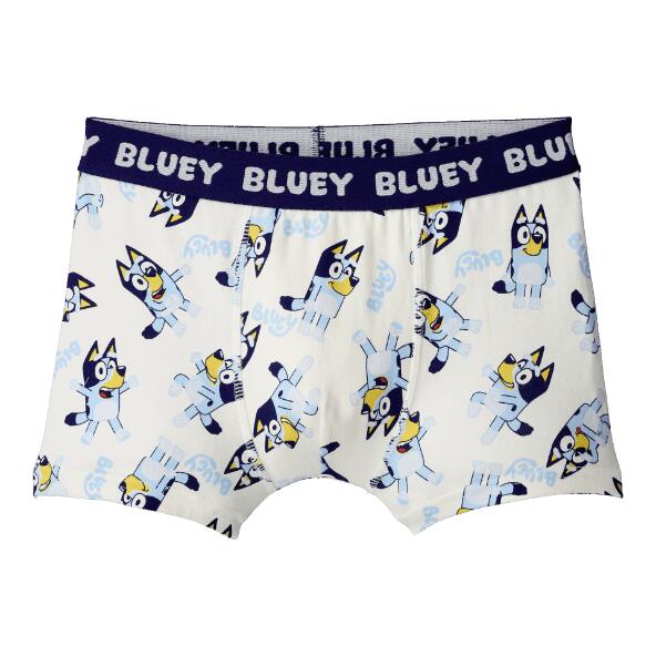 BBC STUDIOS(R) Boxers ou slips Bluey(R)