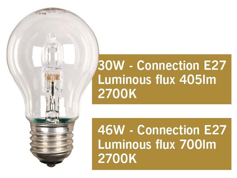 Bulb or Halogen Spot