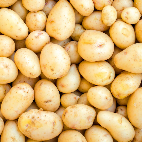 Speisekartoffeln