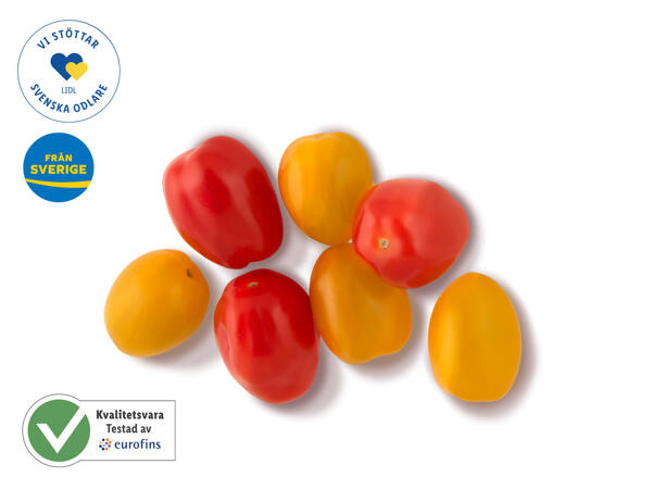 Tomat snack hink, 500 g