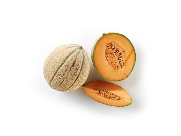 Netted Melon
