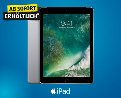 iPad*