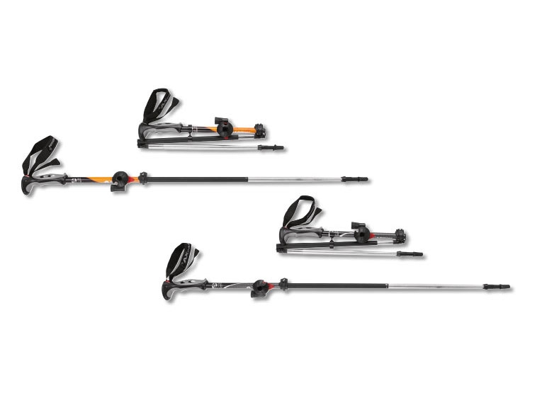 Bâtons de randonnée en carbone AX