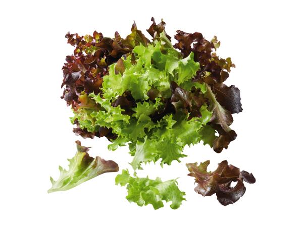 Flerfärgad Sallad