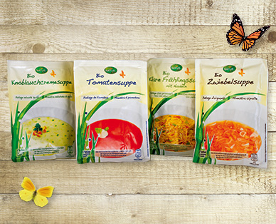 Zuppa bio in busta NATUR AKTIV BIO