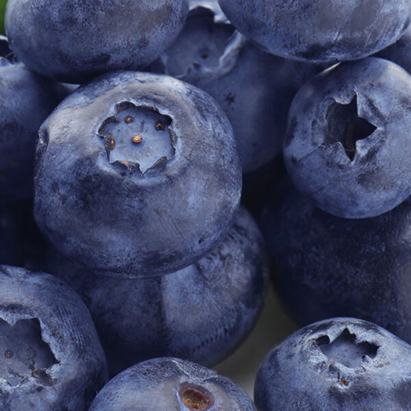 Kultur-Heidelbeeren