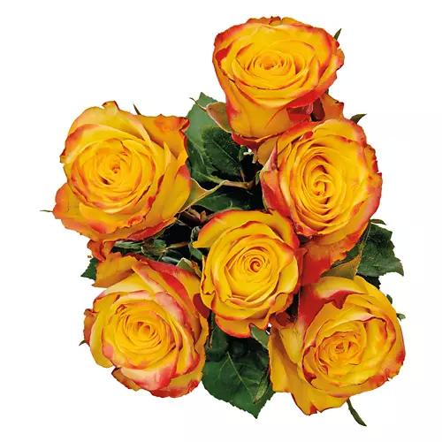 6 Roses Flower Bouquet - Assorted Color
