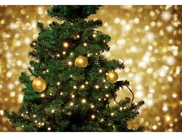 50 LED Fairy Lights