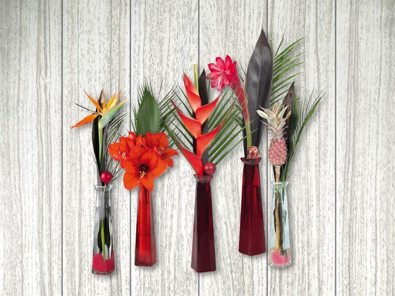 Mélange de Noël dans un vase en verre (dés 10.12.)