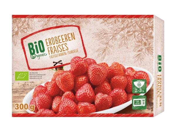 Fraises bio