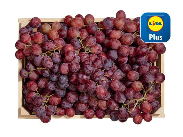 Raisin Red Globe