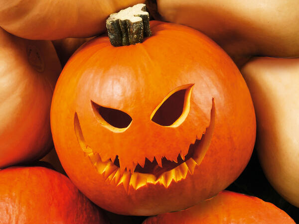 Halloween-Kürbis zum Schnitzen