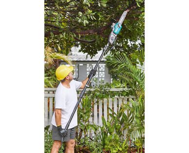 2-in-1 Chainsaw with Telescopic Pole