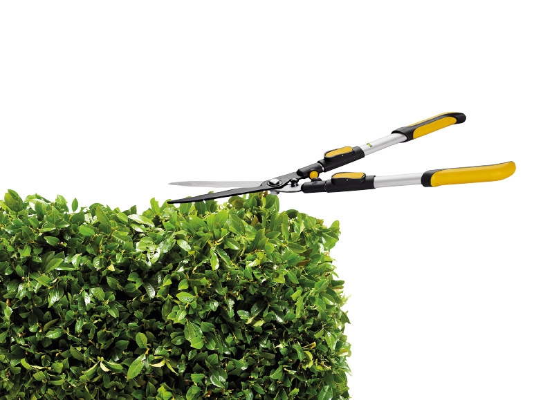 Florabest Extendable Hedge Shears