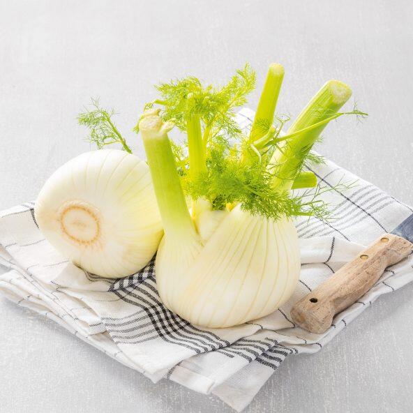 Fenouil