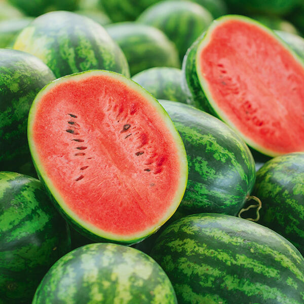 Riesen-Wassermelone