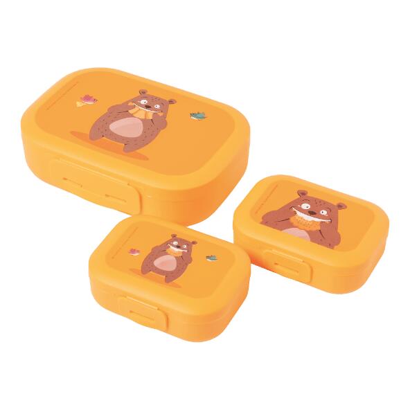 CROFTON(R) 				Boîtes à lunch et à snack, 3 pcs