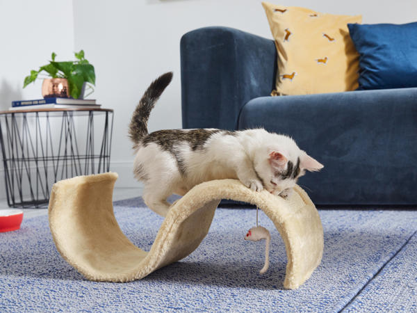 Cat Scratcher