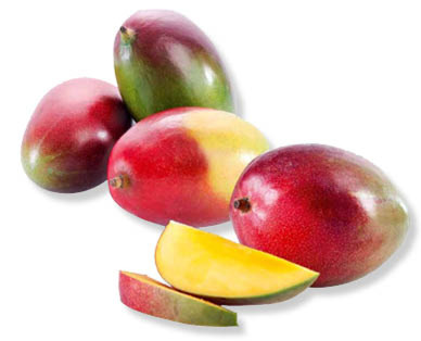 Mangue