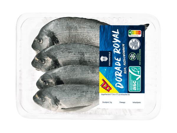 Frische Dorade 4er
