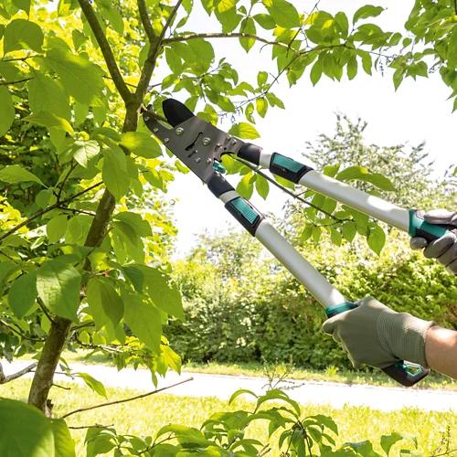 GARDENLINE Getriebe-Astschere