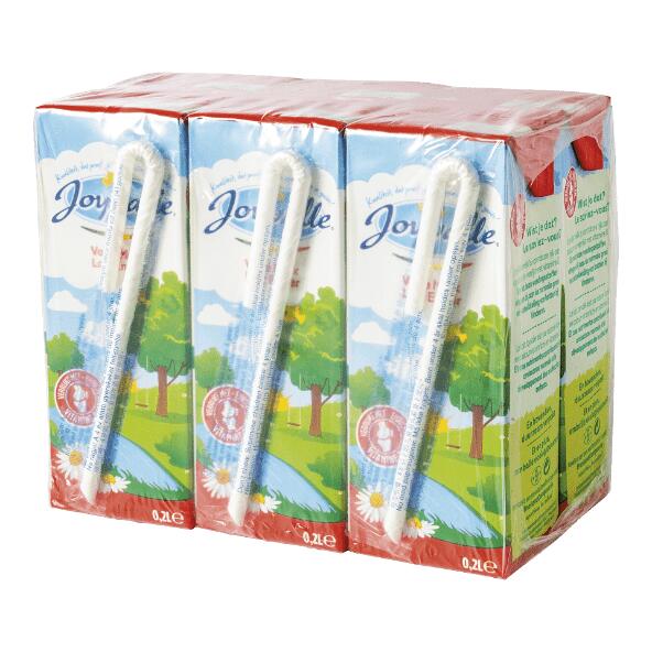JOYVALLE(R) 				Lait entier, 6 pcs