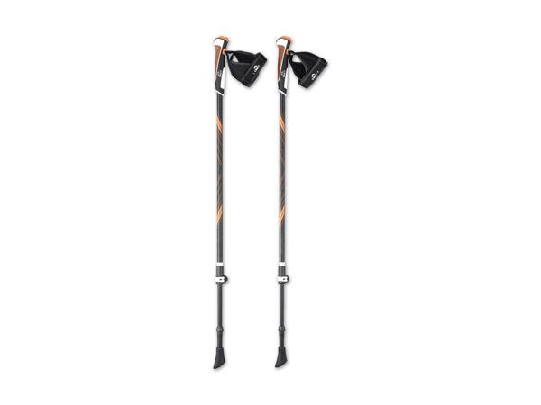 Nordic-Walking-Stöcke